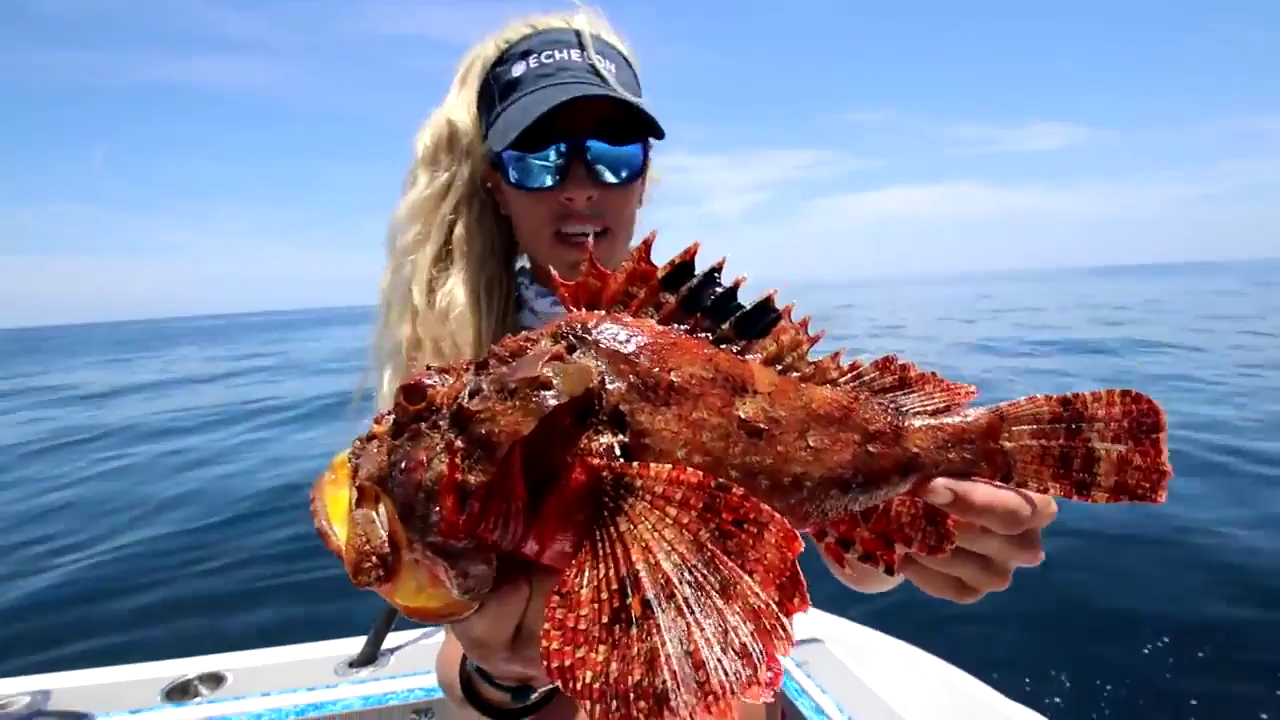 Watch 30A Darcizzle Offshore