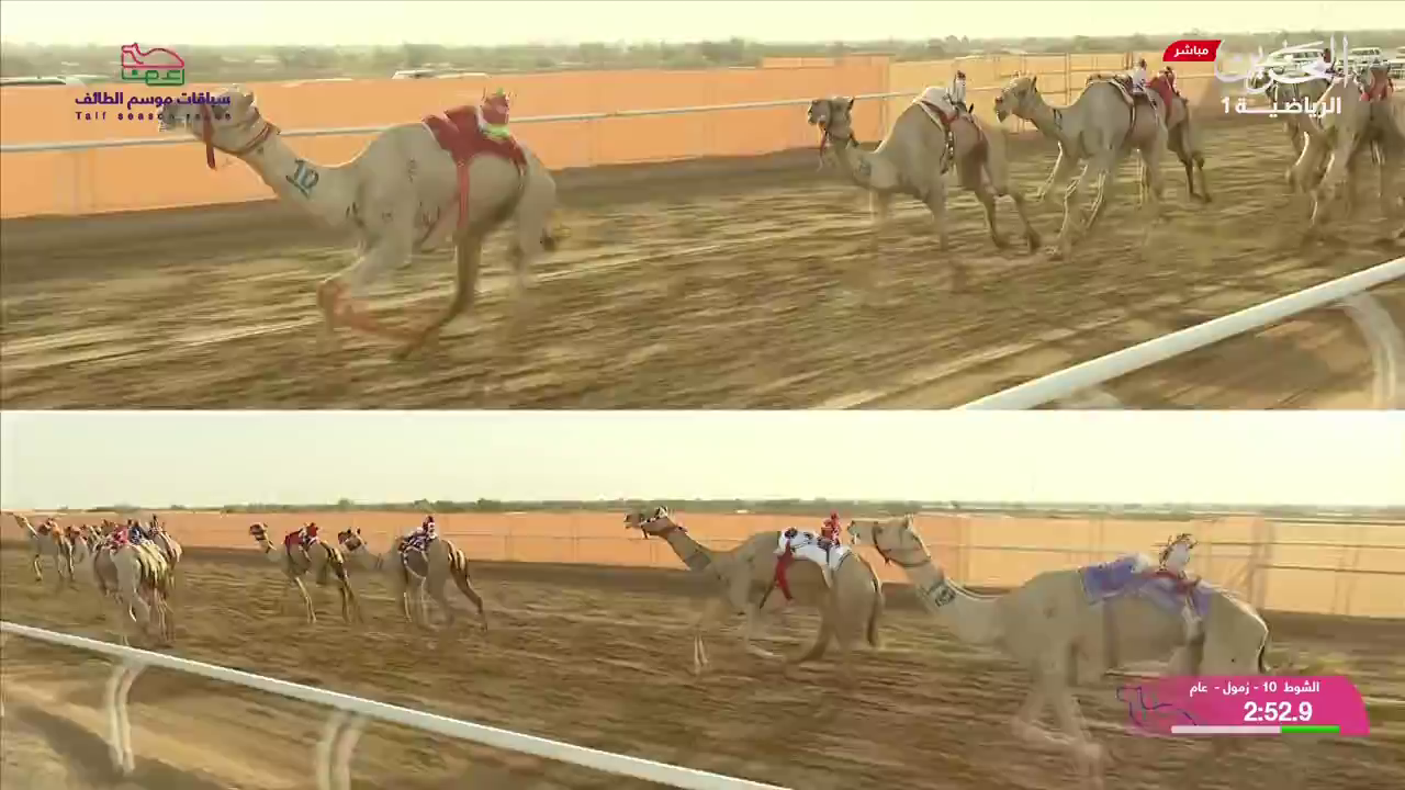 Watch Bahrain Sports 1