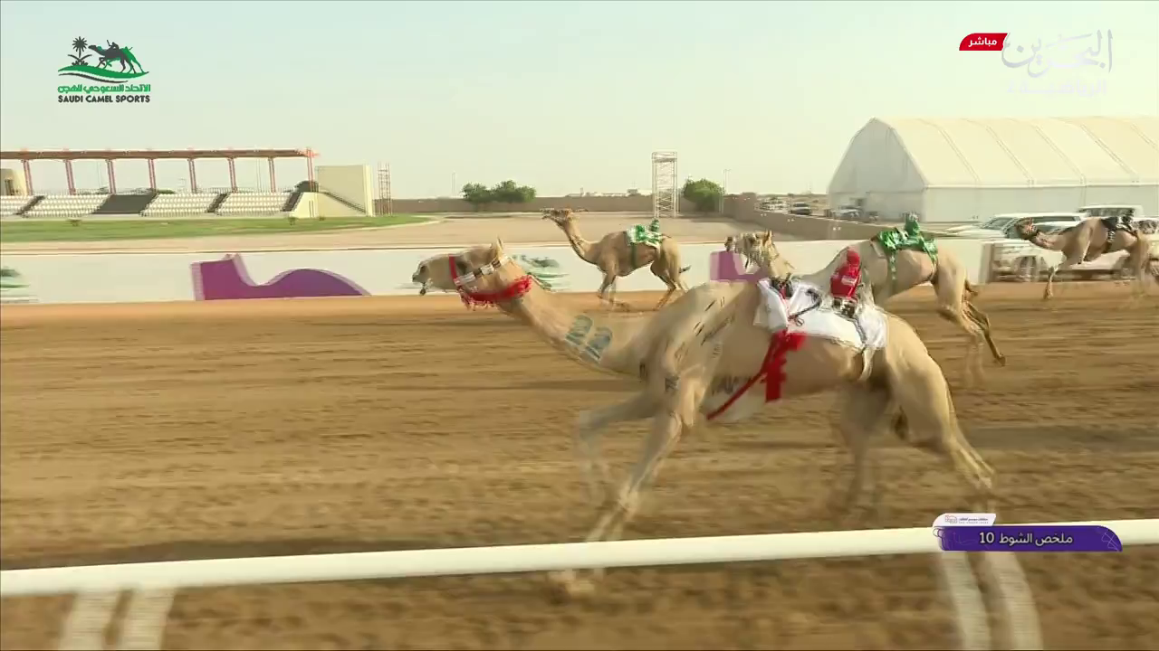 Watch Bahrain Sports 2