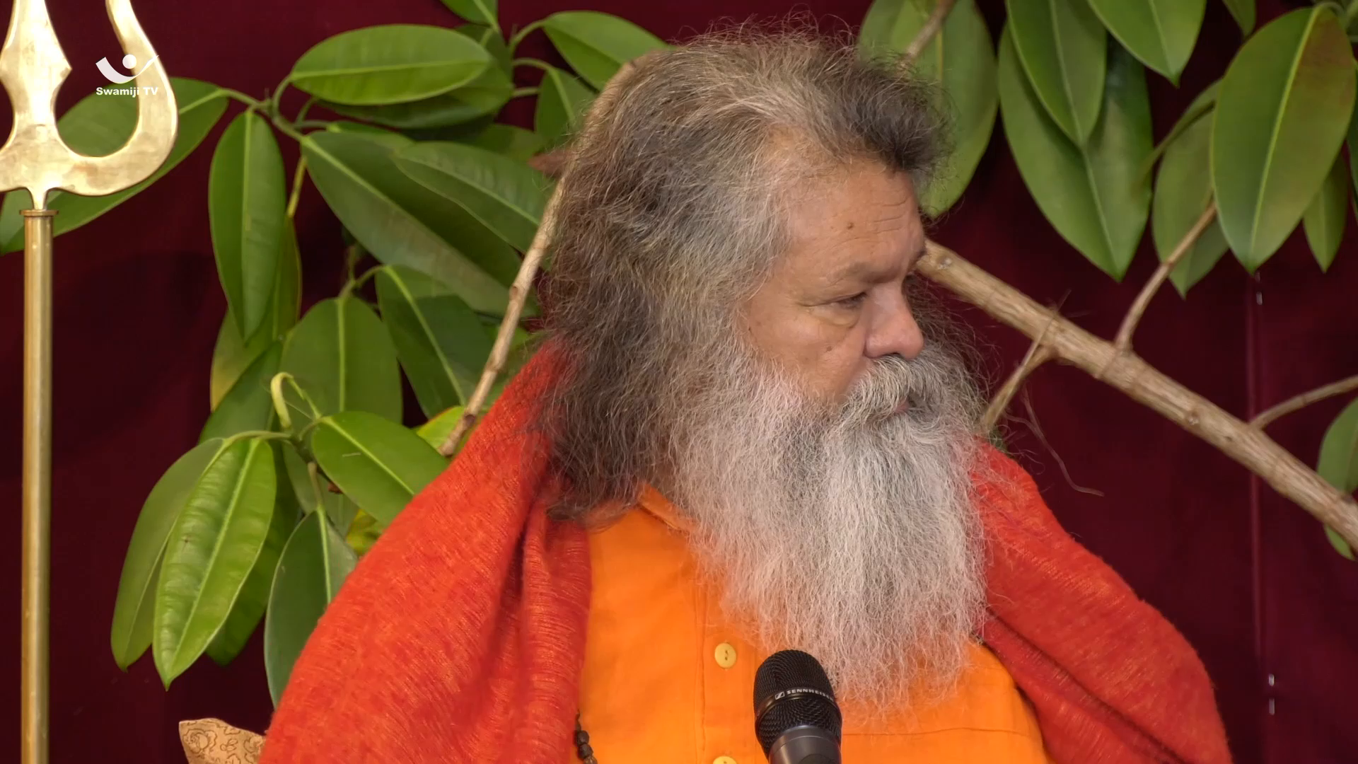 Watch Swamiji TV