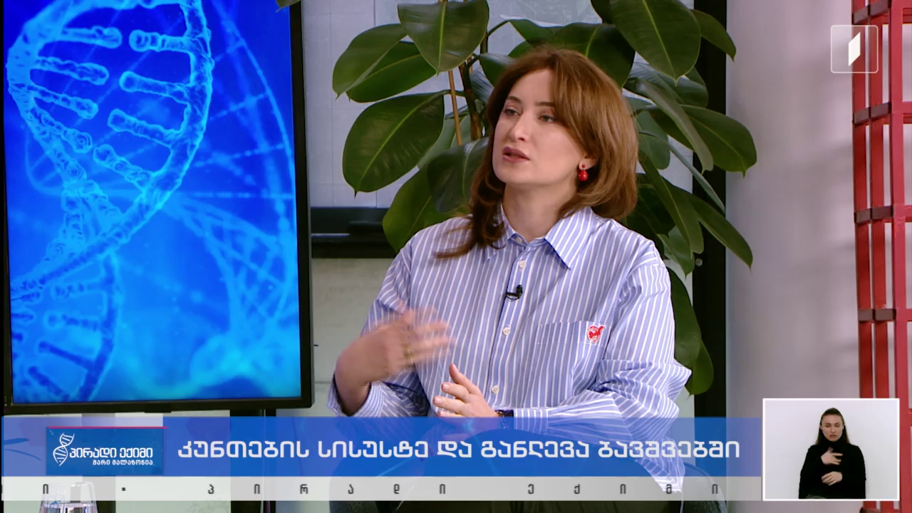 Watch 1TV